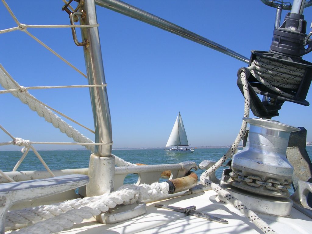 Waarom zit mijn rolreef vast? 7 oorzaken en oplossingen